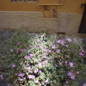 Casa San Michele - Monolocale Con Bagno E Cottura Appartamento
